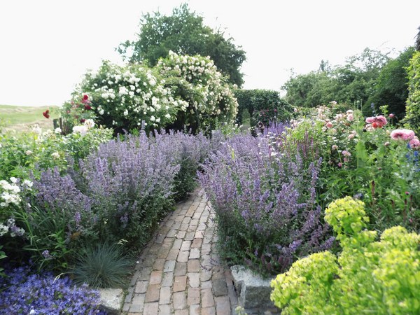 Blütenreich am Deich - Het Tuinpad Op / In Nachbars Garten