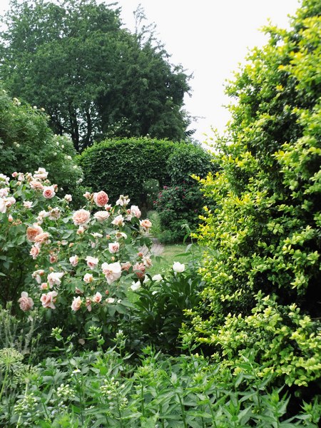 Blütenreich am Deich - Het Tuinpad Op / In Nachbars Garten