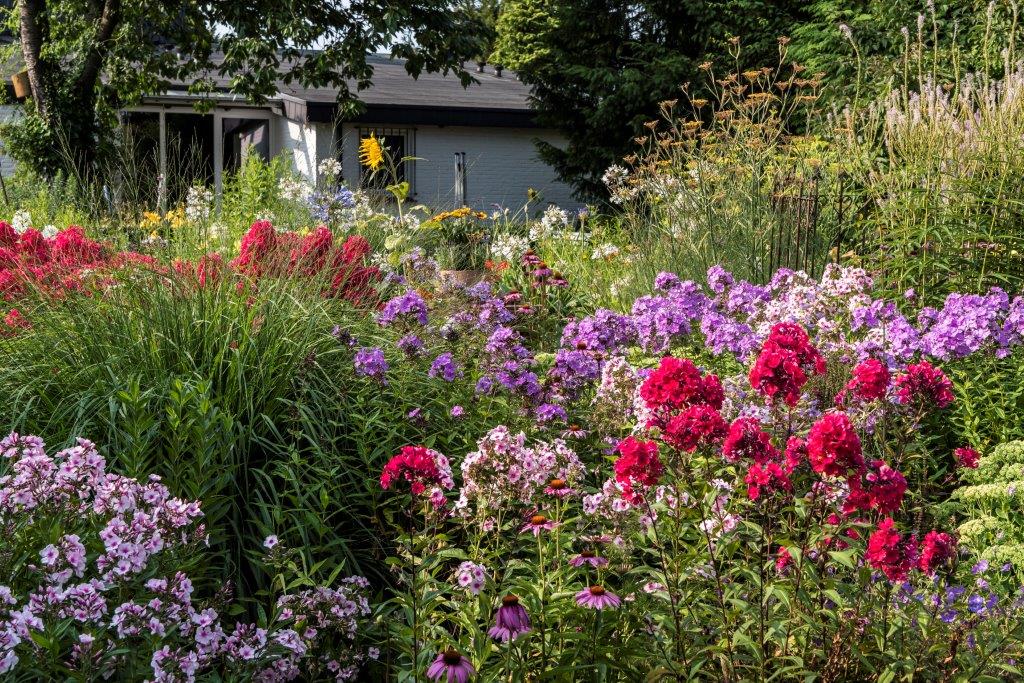 Tuin Stolle - Het Tuinpad Op / In Nachbars Garten