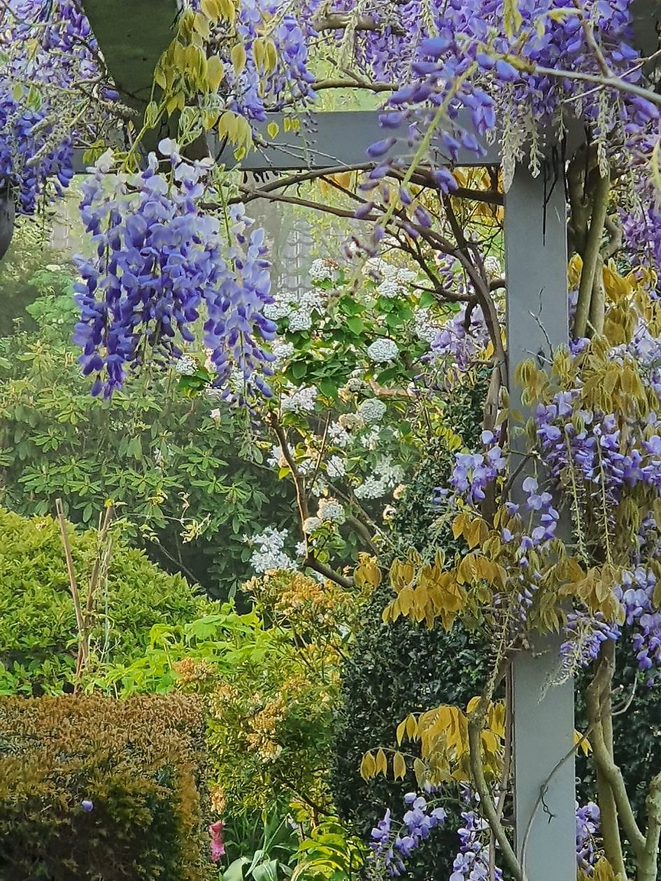 Tuin Nauta de Blaauw - Het Tuinpad Op / In Nachbars Garten