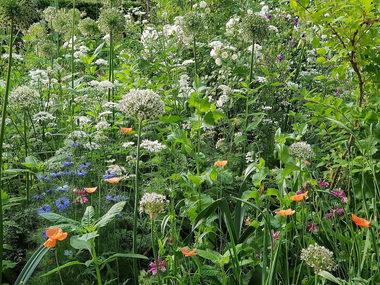 Tuin Nauta de Blaauw - Het Tuinpad Op / In Nachbars Garten