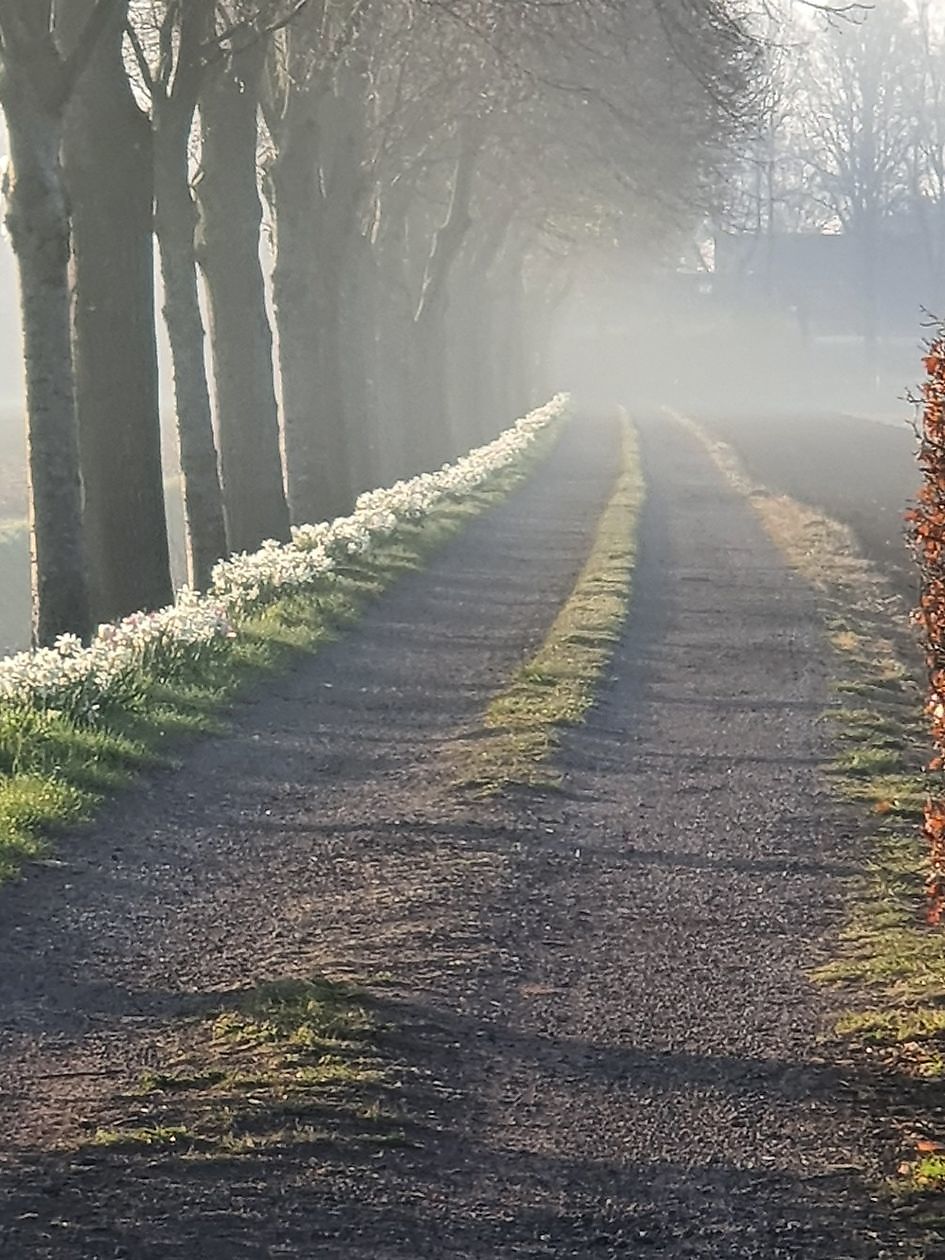 Tuin Nauta de Blaauw - Het Tuinpad Op / In Nachbars Garten