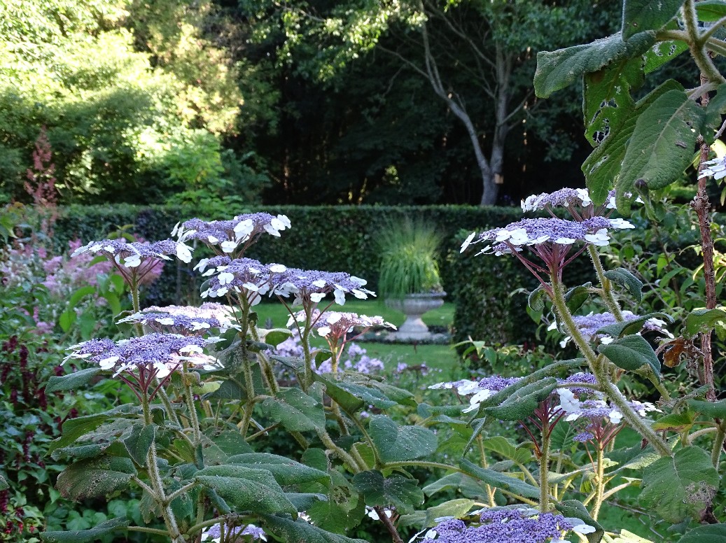 De Houtstek - Het Tuinpad Op / In Nachbars Garten