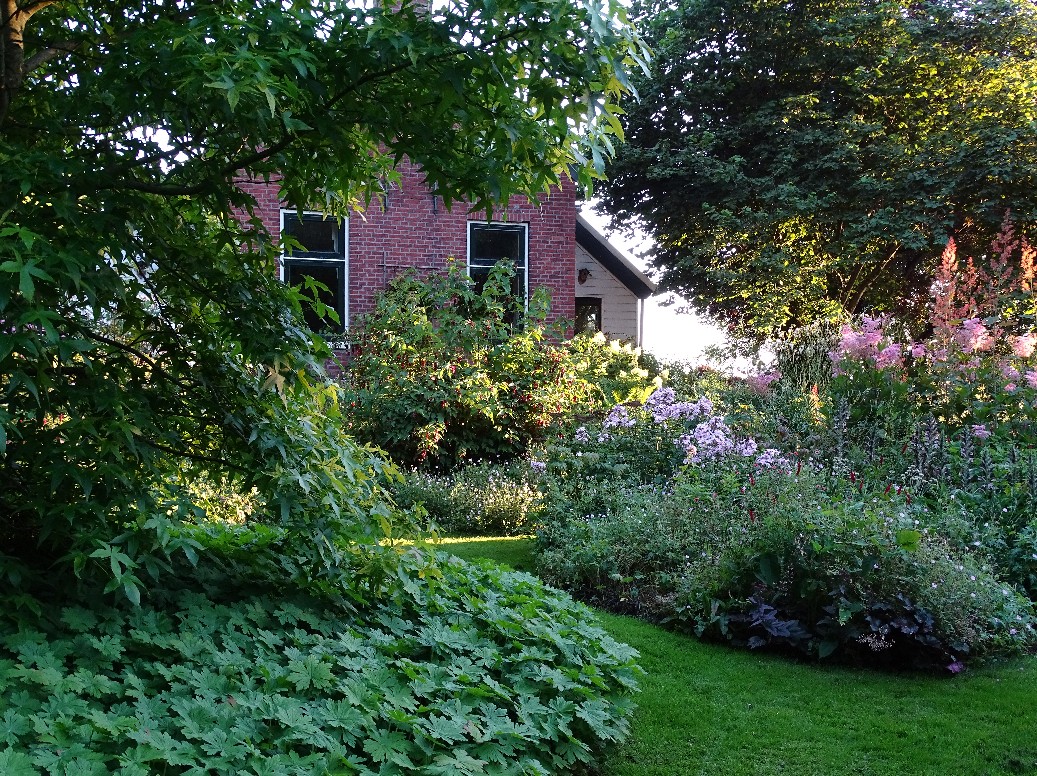 De Houtstek - Het Tuinpad Op / In Nachbars Garten