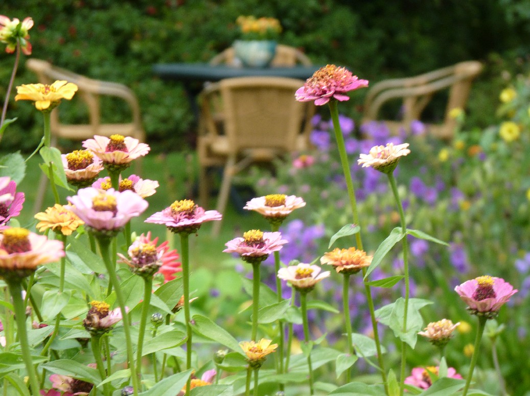 De Houtstek - Het Tuinpad Op / In Nachbars Garten