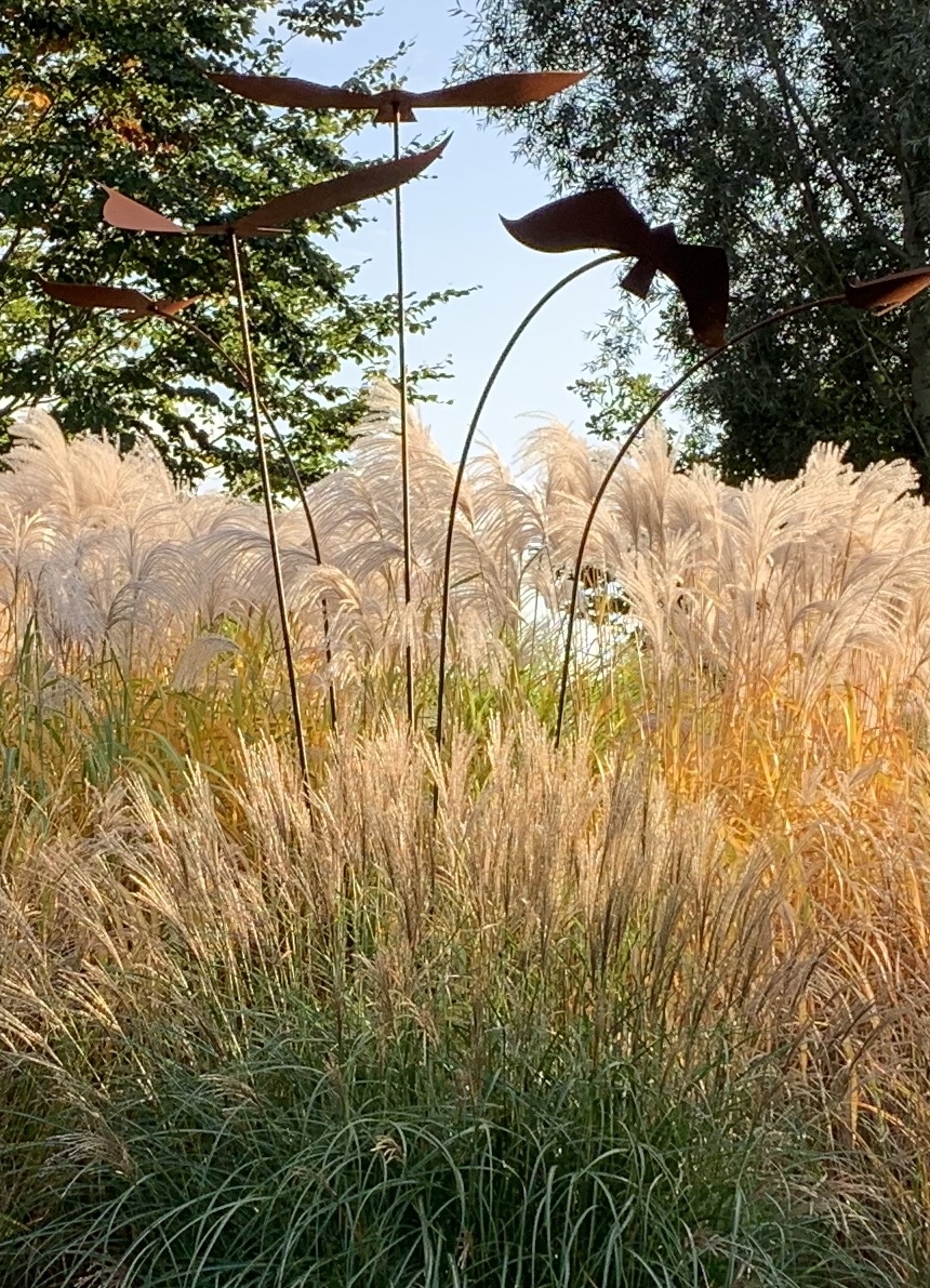 De Vier Handen - Het Tuinpad Op / In Nachbars Garten