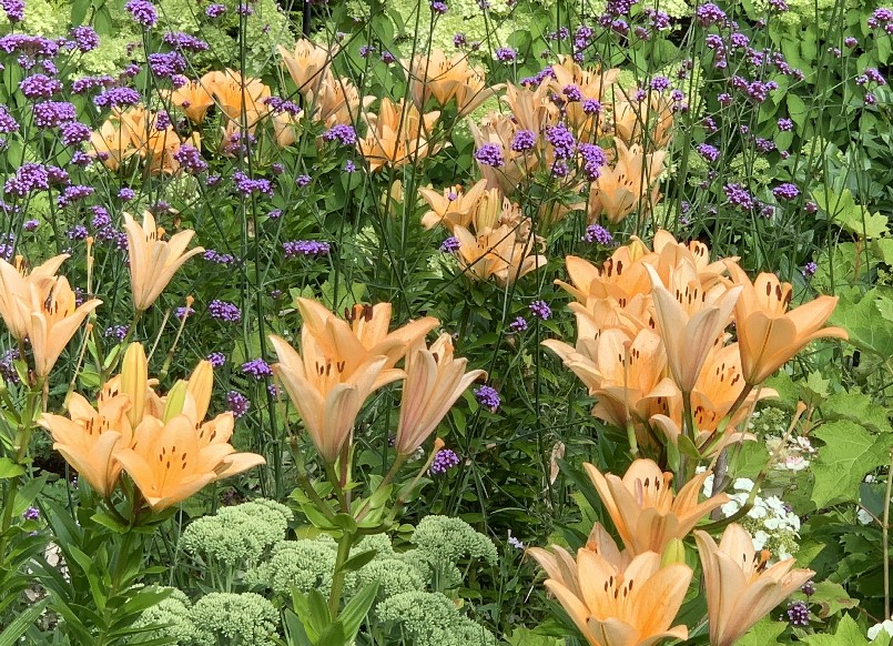 De Vier Handen - Het Tuinpad Op / In Nachbars Garten