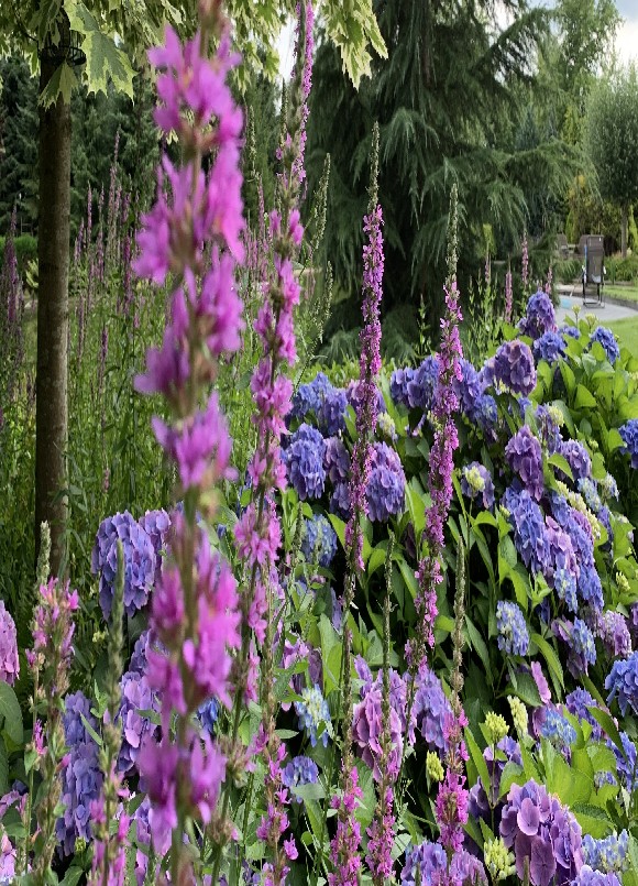 De Vier Handen - Het Tuinpad Op / In Nachbars Garten