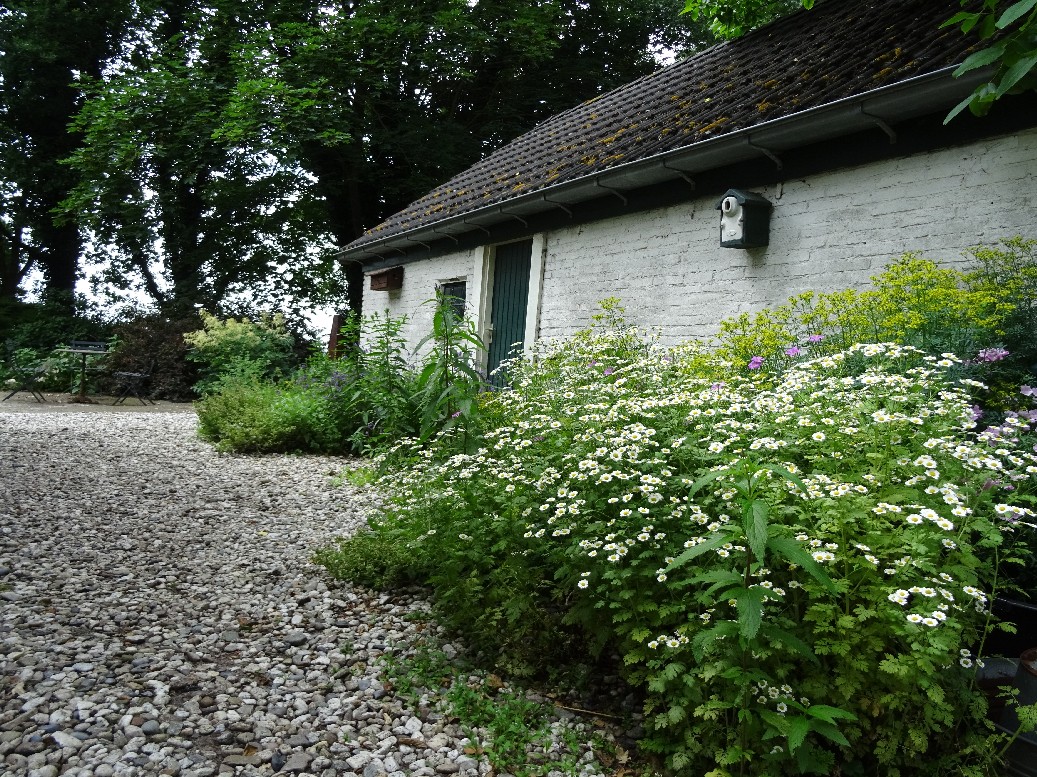 Jan Wilde een Tuin - Het Tuinpad Op / In Nachbars Garten