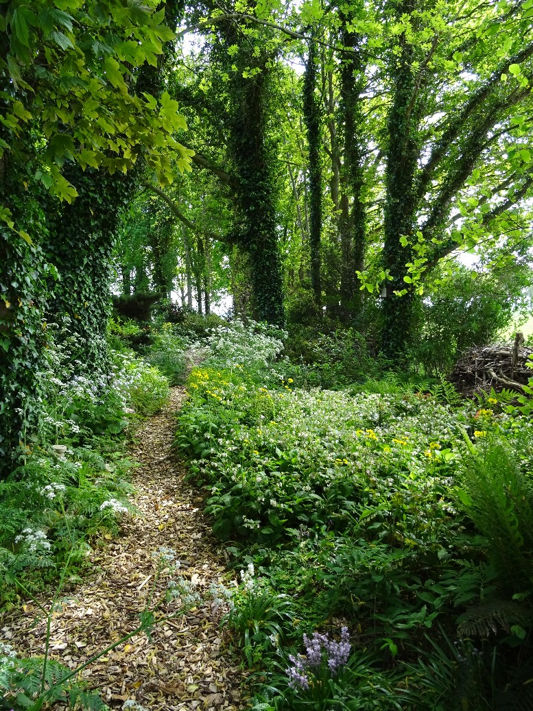 Jan Wilde een Tuin - Het Tuinpad Op / In Nachbars Garten