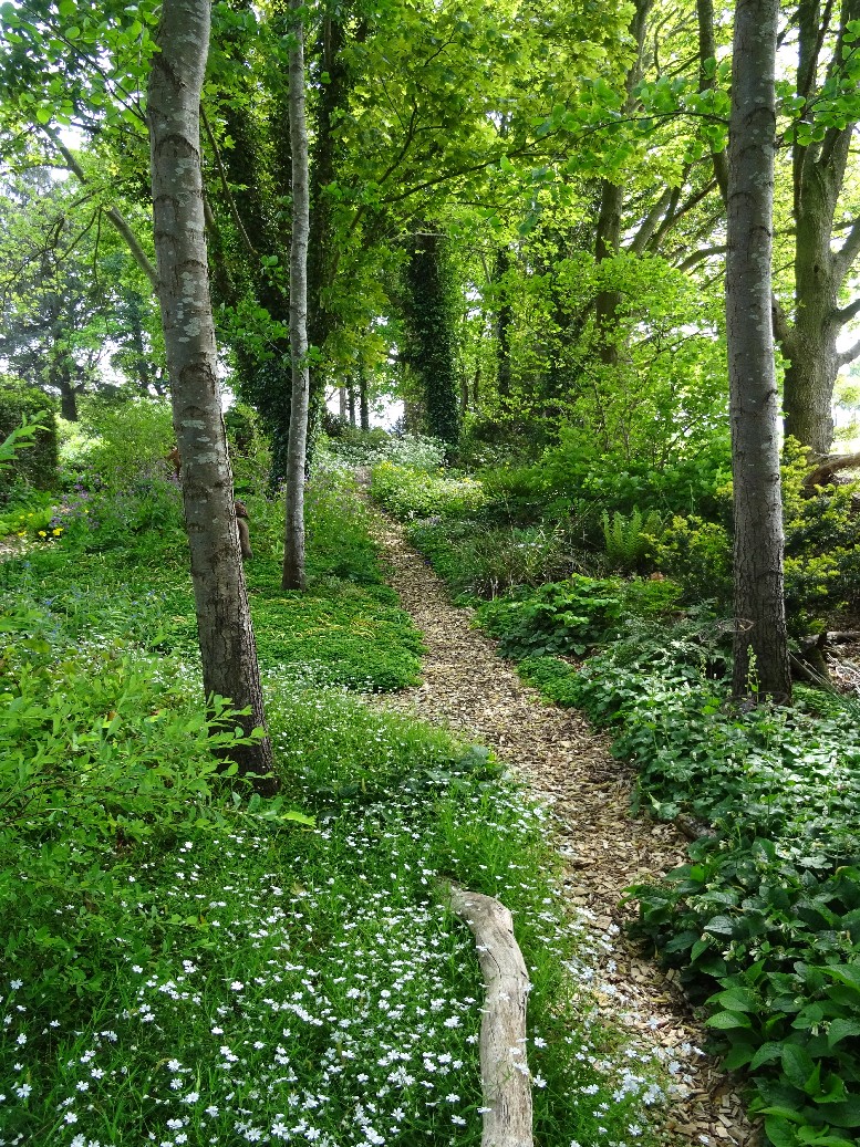 Jan Wilde een Tuin - Het Tuinpad Op / In Nachbars Garten