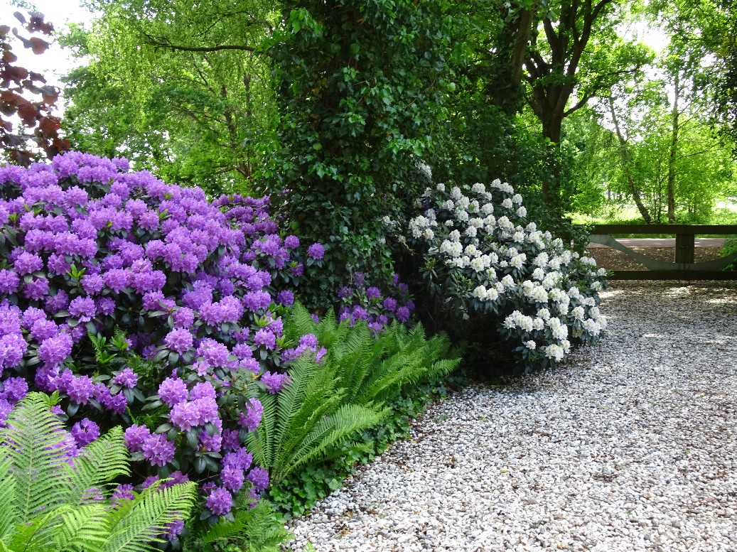 Jan Wilde een Tuin - Het Tuinpad Op / In Nachbars Garten