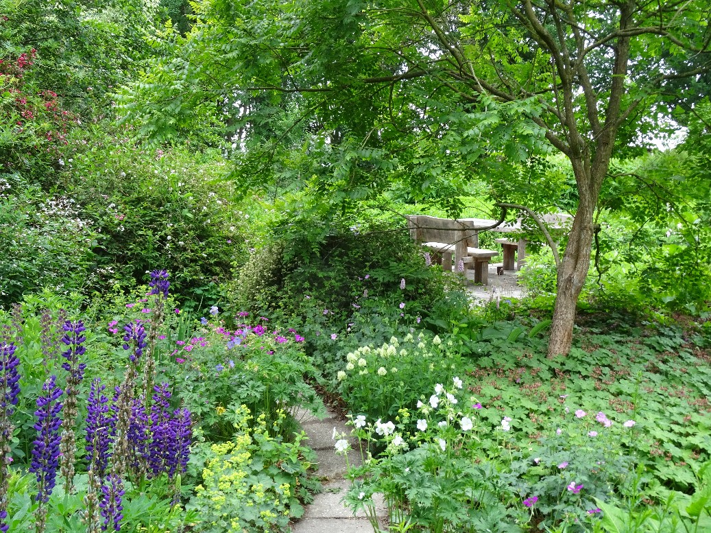 Jan Wilde een Tuin - Het Tuinpad Op / In Nachbars Garten