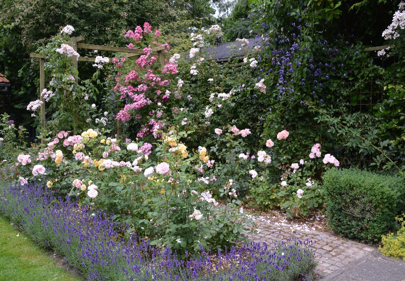 De Eexterhof - Het Tuinpad Op / In Nachbars Garten