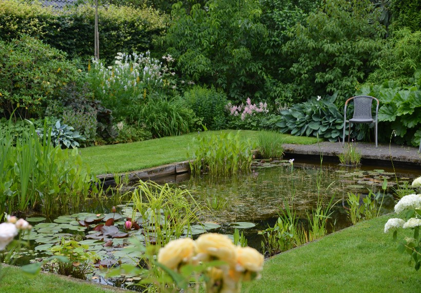 De Eexterhof - Het Tuinpad Op / In Nachbars Garten