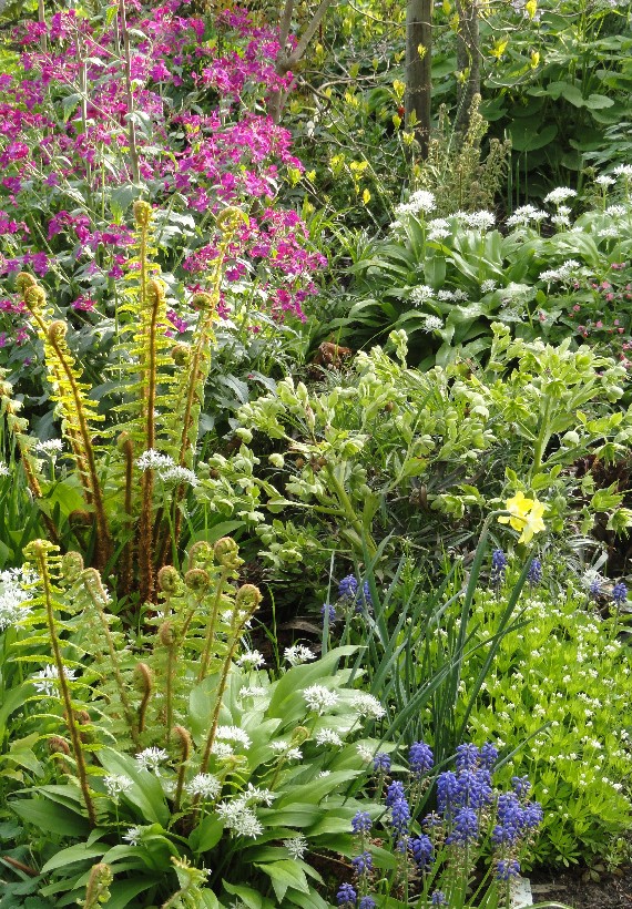 De Eexterhof - Het Tuinpad Op / In Nachbars Garten