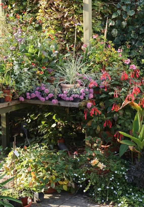 De Eexterhof - Het Tuinpad Op / In Nachbars Garten