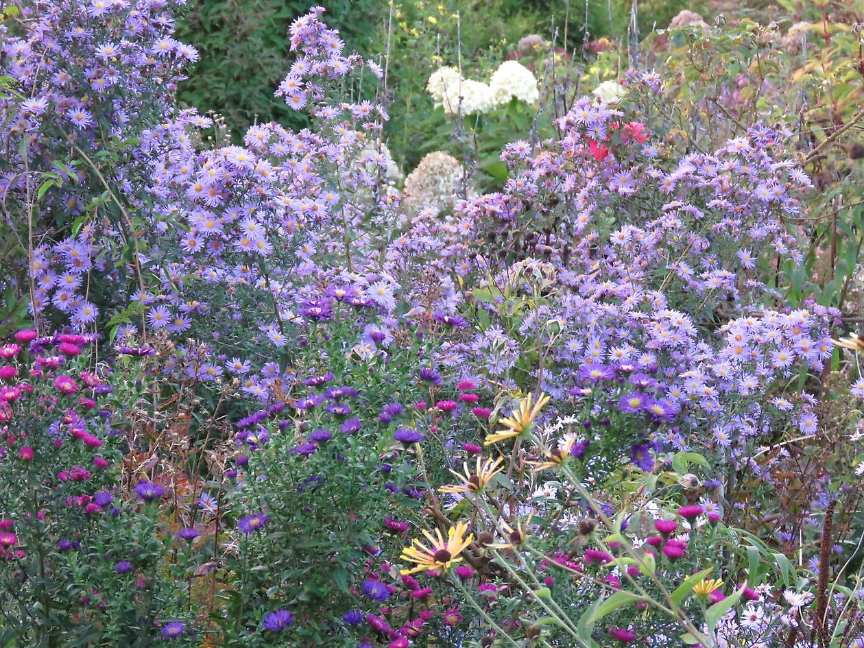 Landidyll Familie Tjarks - Het Tuinpad Op / In Nachbars Garten