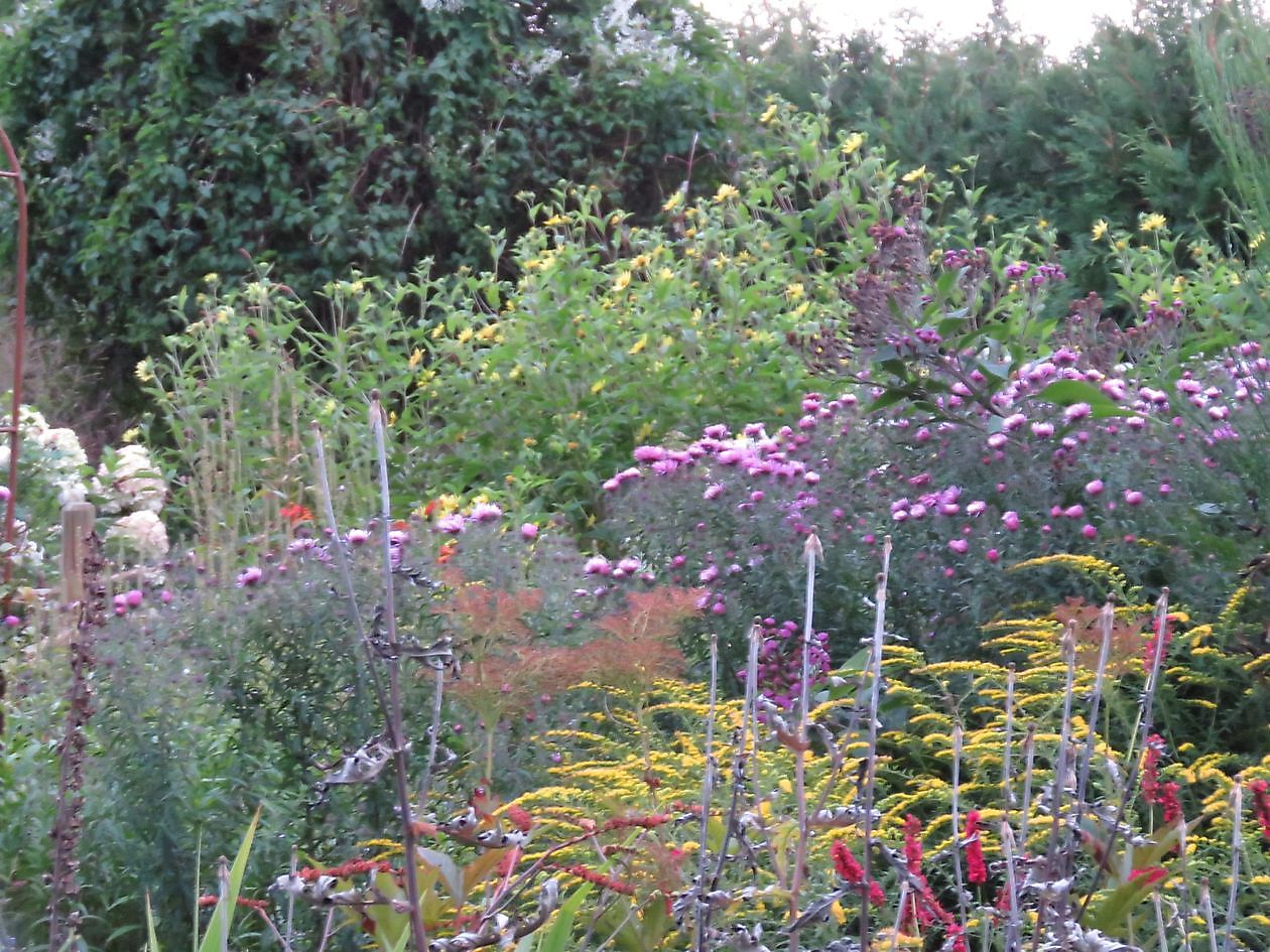 Landidyll Familie Tjarks - Het Tuinpad Op / In Nachbars Garten