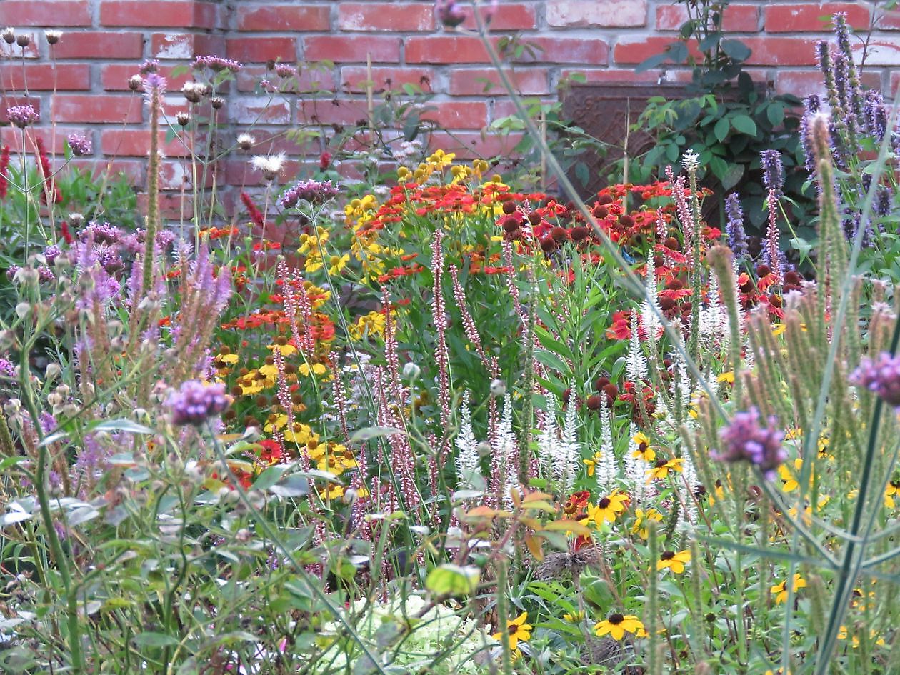 Landidyll Familie Tjarks - Het Tuinpad Op / In Nachbars Garten