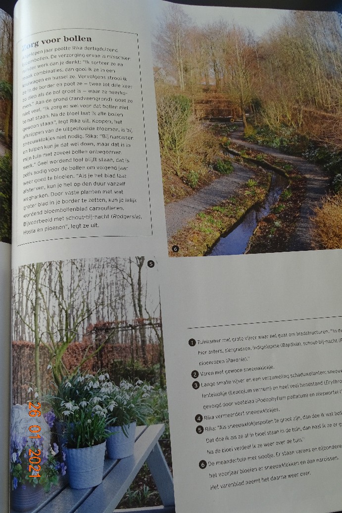 Tuinfleur - Het Tuinpad Op / In Nachbars Garten