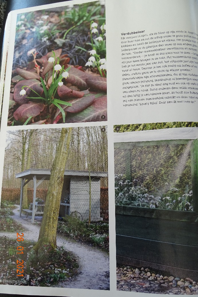 Tuinfleur - Het Tuinpad Op / In Nachbars Garten