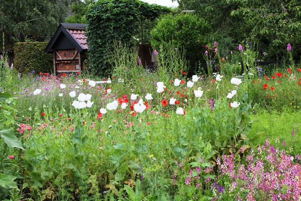 Tuin Meyer - Het Tuinpad Op / In Nachbars Garten