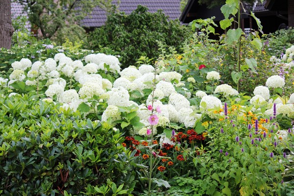 Tuin Meyer - Het Tuinpad Op / In Nachbars Garten