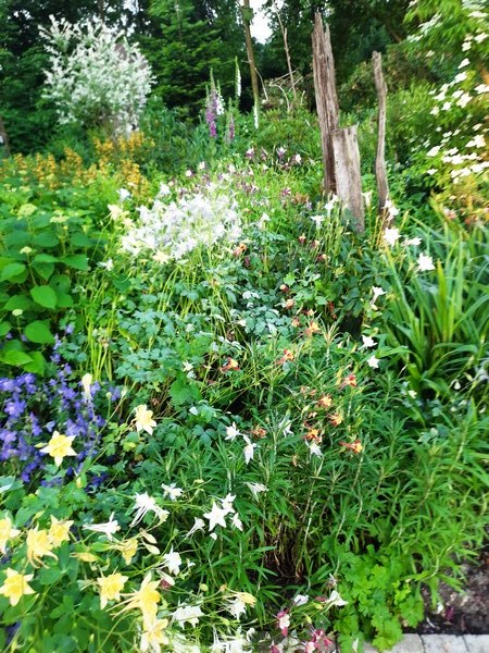 Tuin der verscheidenheid - Het Tuinpad Op / In Nachbars Garten