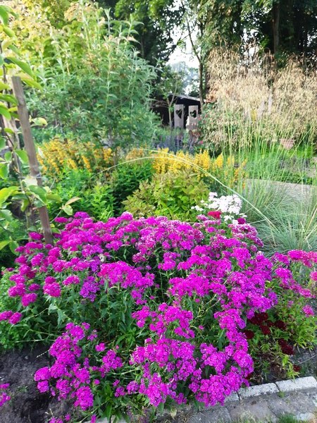 Tuin der verscheidenheid - Het Tuinpad Op / In Nachbars Garten