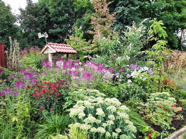 Tuin der verscheidenheid - Het Tuinpad Op / In Nachbars Garten