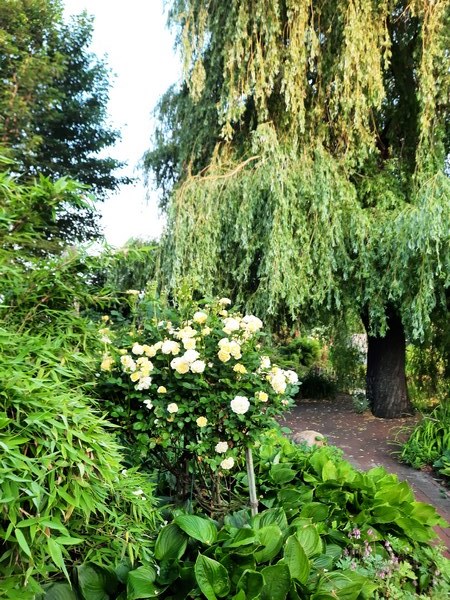 Tuin der verscheidenheid - Het Tuinpad Op / In Nachbars Garten