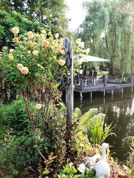 Tuin der verscheidenheid - Het Tuinpad Op / In Nachbars Garten