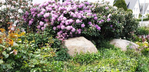 Tuin van Wilfried Rösner - Het Tuinpad Op / In Nachbars Garten