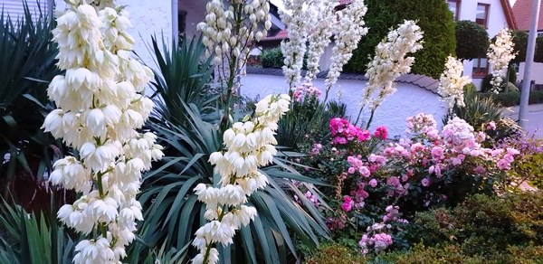 Tuin van Wilfried Rösner - Het Tuinpad Op / In Nachbars Garten