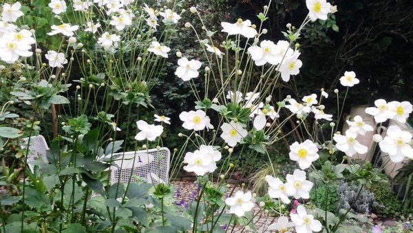 Tuin van Wilfried Rösner - Het Tuinpad Op / In Nachbars Garten