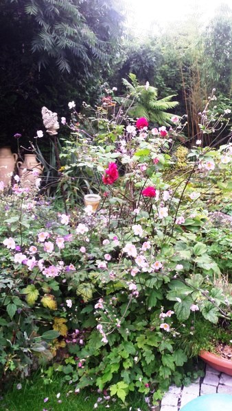 Tuin van Wilfried Rösner - Het Tuinpad Op / In Nachbars Garten