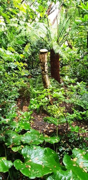 Tuin van Wilfried Rösner - Het Tuinpad Op / In Nachbars Garten