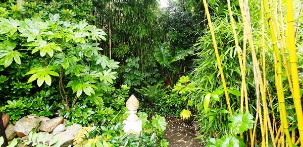 Tuin van Wilfried Rösner - Het Tuinpad Op / In Nachbars Garten