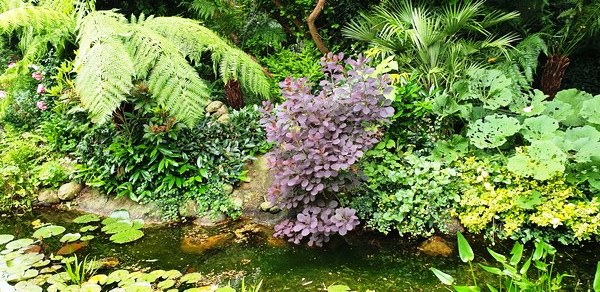 Tuin van Wilfried Rösner - Het Tuinpad Op / In Nachbars Garten