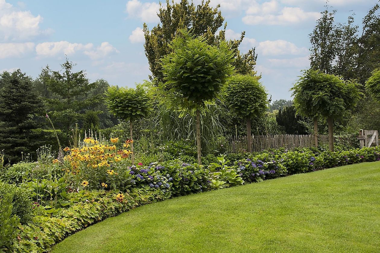 De Hoofdmeesterstuin - Het Tuinpad Op / In Nachbars Garten