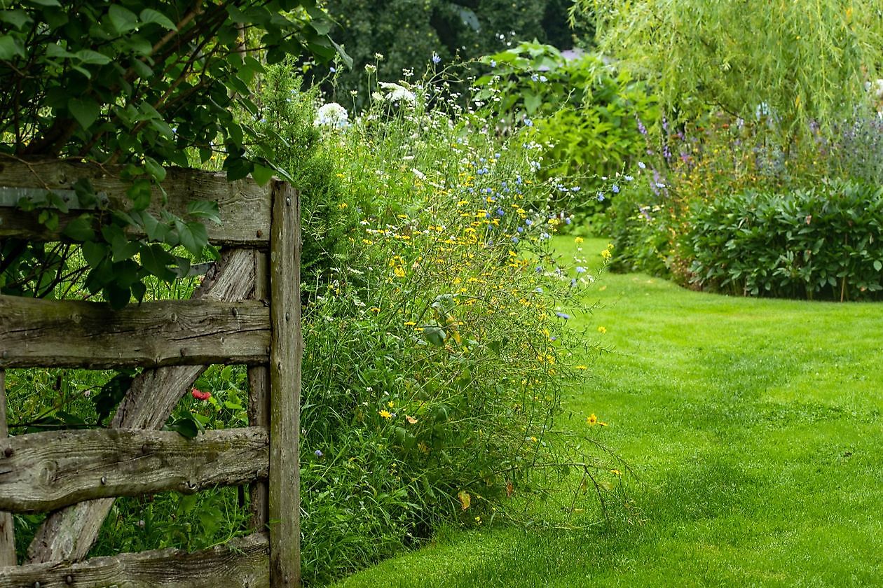 De Hoofdmeesterstuin - Het Tuinpad Op / In Nachbars Garten