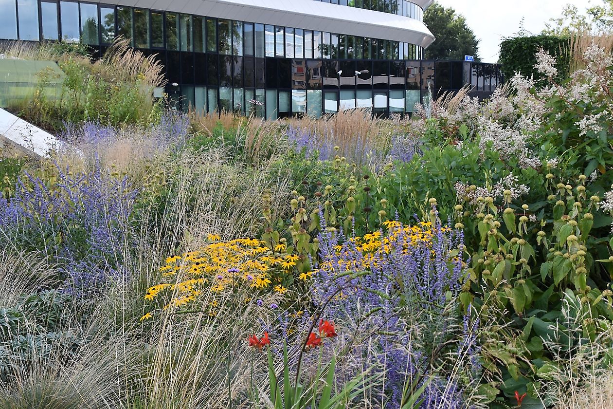 Stads/daktuin Kempkensberg - Het Tuinpad Op / In Nachbars Garten