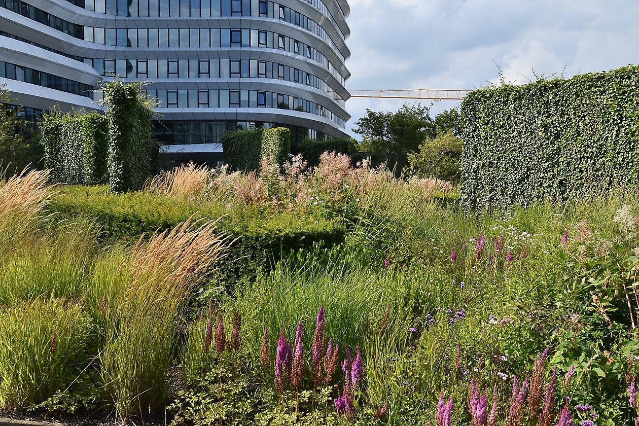 Stads/daktuin Kempkensberg - Het Tuinpad Op / In Nachbars Garten