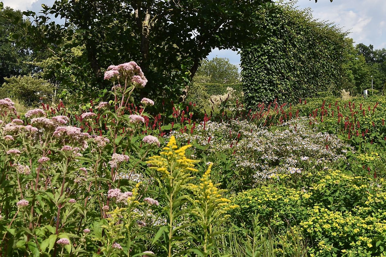 Stads/daktuin Kempkensberg - Het Tuinpad Op / In Nachbars Garten