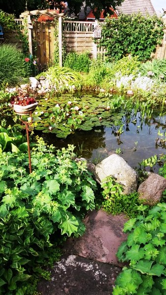 Tuin Geziena Scholtalbers - Het Tuinpad Op / In Nachbars Garten