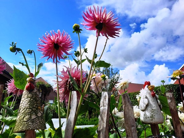 Tuin Geziena Scholtalbers - Het Tuinpad Op / In Nachbars Garten