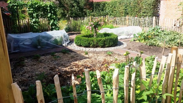 Tuin Geziena Scholtalbers - Het Tuinpad Op / In Nachbars Garten