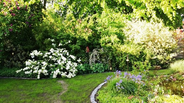 Tuin Geziena Scholtalbers - Het Tuinpad Op / In Nachbars Garten