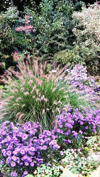 Tuin Geziena Scholtalbers - Het Tuinpad Op / In Nachbars Garten